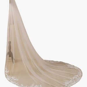Elegant Sheer Wedding Veil with Lace Trim